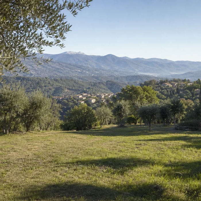 Terrain constructible arboré dans les Alpes-Maritimes avec relief méditerranéen
